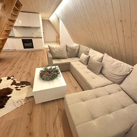 Apartment Dwupoziomowy Litwor