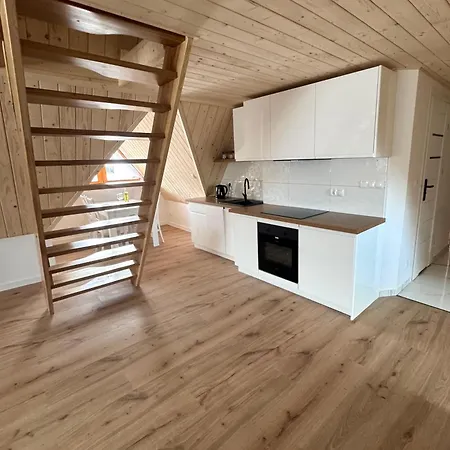 Dwupoziomowy Litwor Apartment Kościelisko