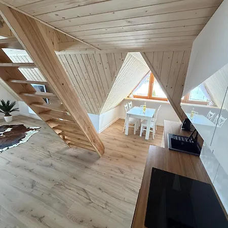 Dwupoziomowy Litwor Apartment Kościelisko